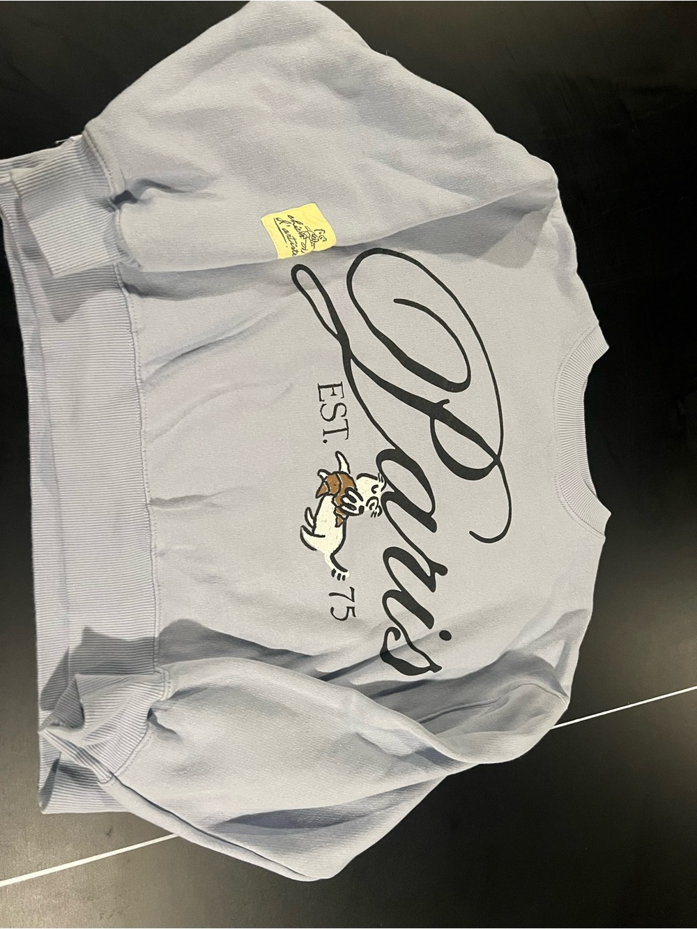 Zara Light Lavender 'Paris' Sweatshirt with Dog Graphic